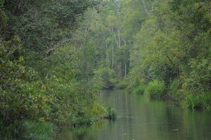 Trans Borneo Expedition 2014     